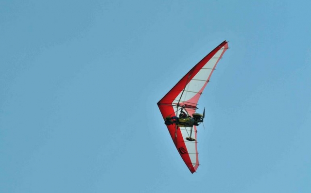  Aprenderás todos los secretos 